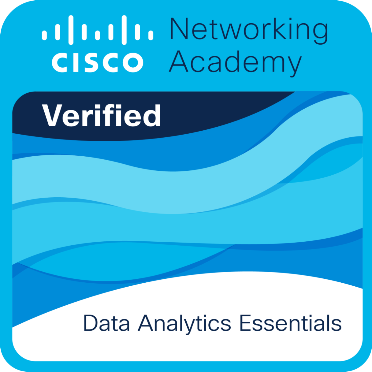 Data Analytics Essentials Badge